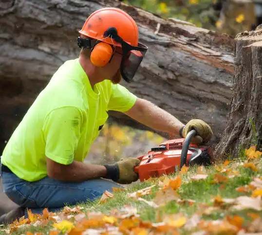 tree services East Islip